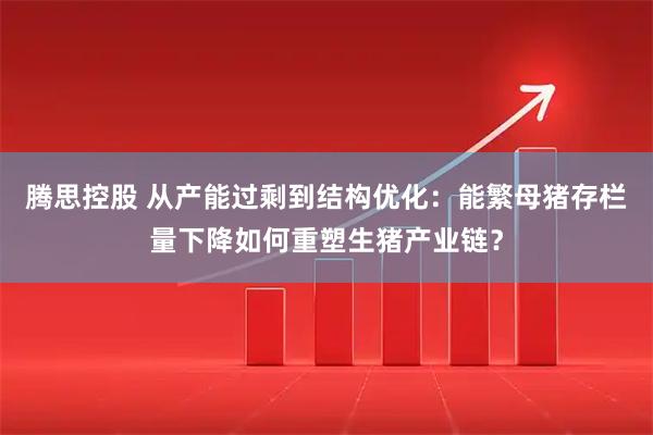 腾思控股 从产能过剩到结构优化：能繁母猪存栏量下降如何重塑生猪产业链？