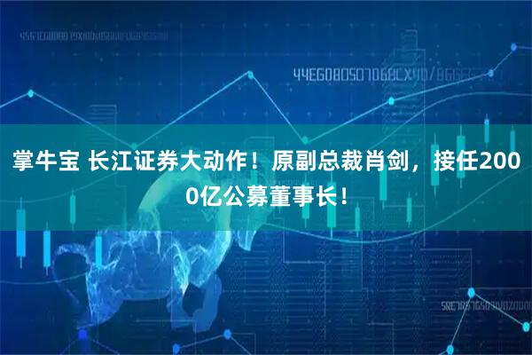 掌牛宝 长江证券大动作！原副总裁肖剑，接任2000亿公募董事长！