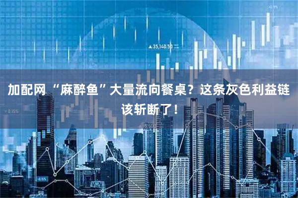 加配网 “麻醉鱼”大量流向餐桌？这条灰色利益链该斩断了！