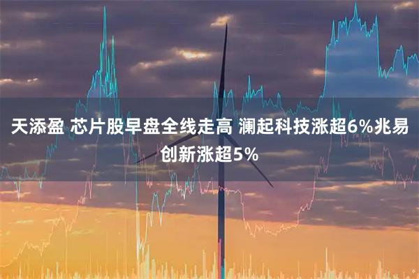 天添盈 芯片股早盘全线走高 澜起科技涨超6%兆易创新涨超5%