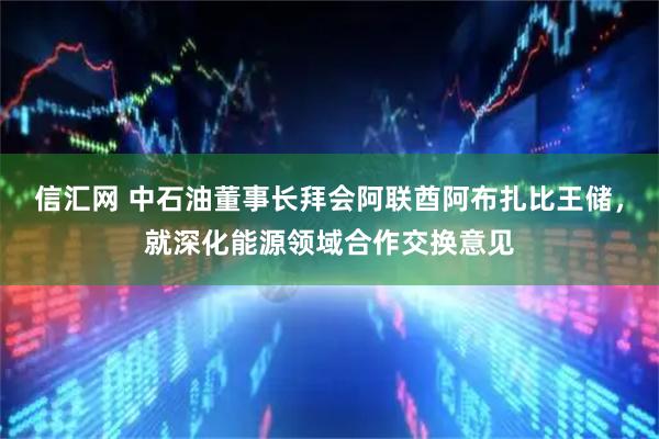 信汇网 中石油董事长拜会阿联酋阿布扎比王储，就深化能源领域合作交换意见