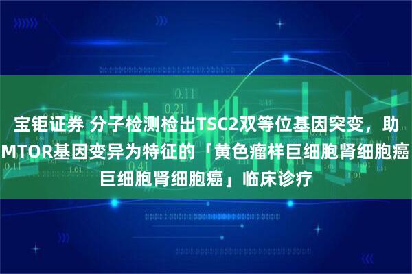 宝钜证券 分子检测检出TSC2双等位基因突变，助力以TSC2/MTOR基因变异为特征的「黄色瘤样巨细胞肾细胞癌」临床诊疗