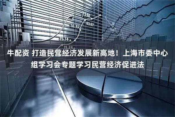 牛配资 打造民营经济发展新高地！上海市委中心组学习会专题学习民营经济促进法
